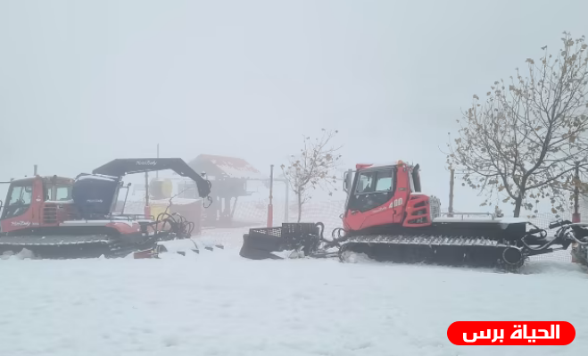 منخفض ألفيس الثلجي يضرب فلسطين الأربعاء وتحذير من سرعة الرياح